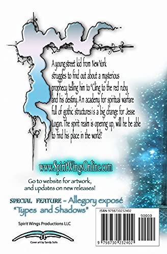 The Academy: Spirit Wings - Book One