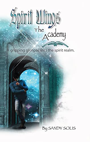 Spirit Wings the Academy: Book One