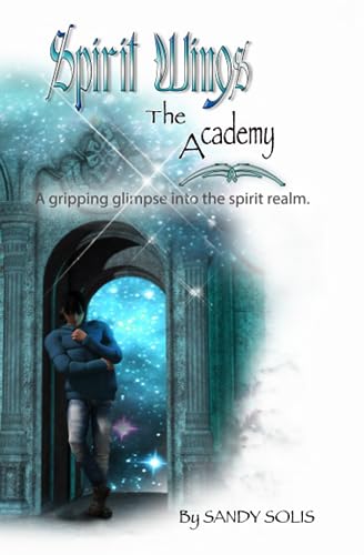 The Academy: Spirit Wings - Book One